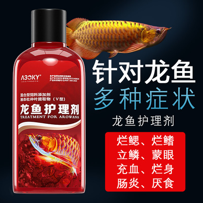 龙鱼专用药烂身烂尾肠炎立鳞龙鱼