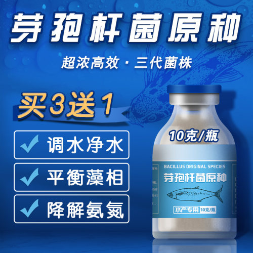 芽孢杆菌原种水产养殖鱼虾