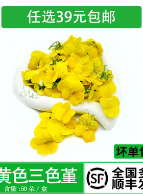 新鲜纯黄色系三色堇 西餐摆盘酒店日料烘焙酒水装饰冷意点缀