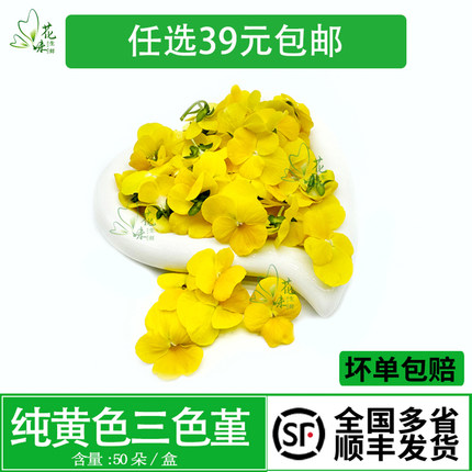 新鲜纯黄色系三色堇 西餐摆盘酒店日料烘焙酒水装饰冷意点缀