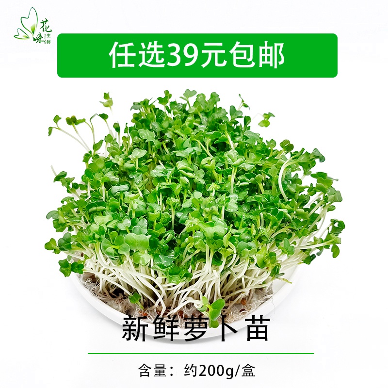 【花味鲜】新鲜萝卜苗 可食用芽苗菜 西餐摆盘装饰盒装 200g