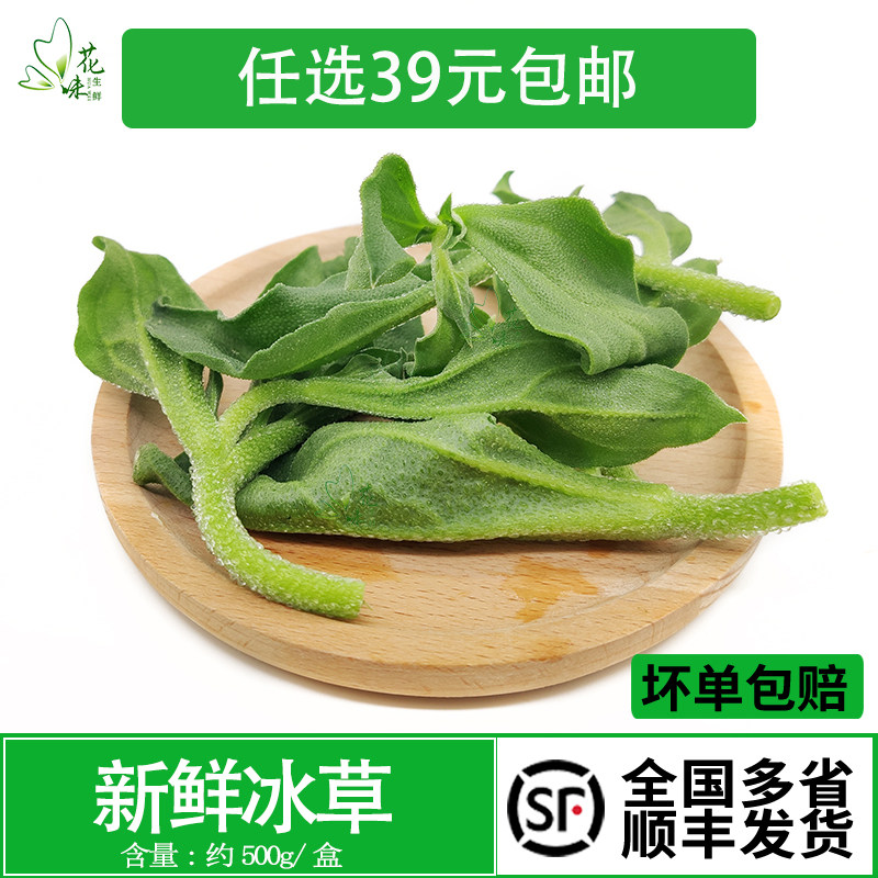 新鲜冰草 冰菜冰叶非洲冰草西餐凉拌沙拉蔬菜酒店火锅生吃500g