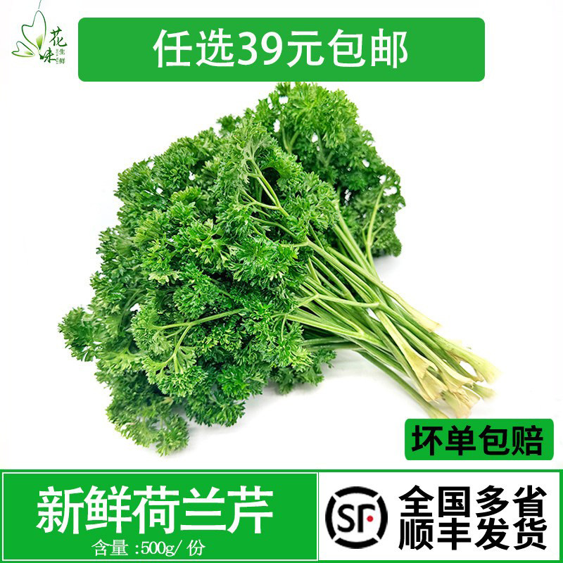 新鲜 荷兰芹 反西 蕃茜 法香250g酒店饭店西餐摆菜盘餐桌装饰,水产肉类/新鲜蔬果/熟食,其它,淘宝优惠券,粉丝福利购,淘宝优惠卷