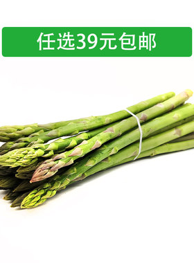 新鲜蔬菜 龙须菜芦笋当季绿芦笋鲜嫩多汁 去白根春笋500g