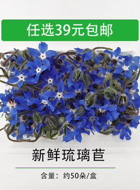 新鲜琉璃苣一盒50朵花食用西餐