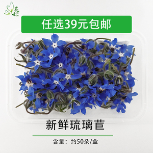 新鲜琉璃苣一盒50朵花食用西餐