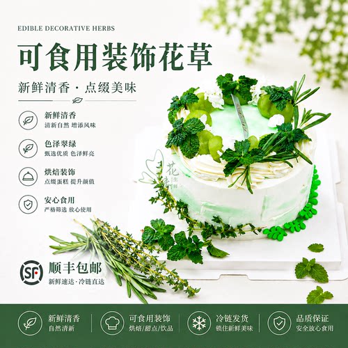 薄荷头蛋糕装饰西餐摆盘烘焙