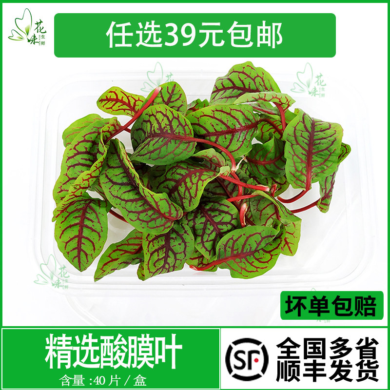新鲜 红脉酸膜叶 酸模叶 红酸模草酢浆草食用花酒店摆盘装饰点缀
