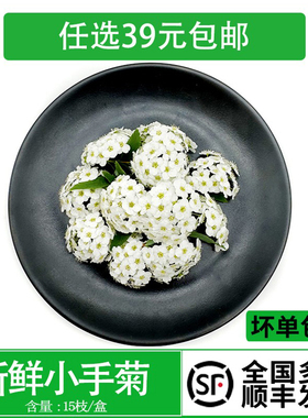 新鲜手球花 绣线菊 白色小花约15枝日料西餐摆盘酒水烘焙装饰点缀