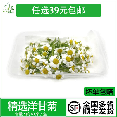 鲜花摆盘新鲜小雏菊西餐酒店