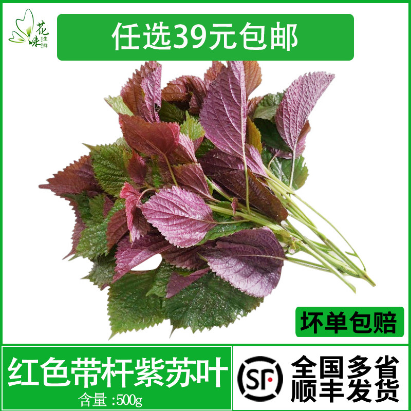 新鲜现摘紫苏叶带杆食用紫苏500g香料龙虾鱼蟹调料提香去腥调味,水产肉类/新鲜蔬果/熟食,其它,淘宝优惠券,粉丝福利购,淘宝优惠卷
