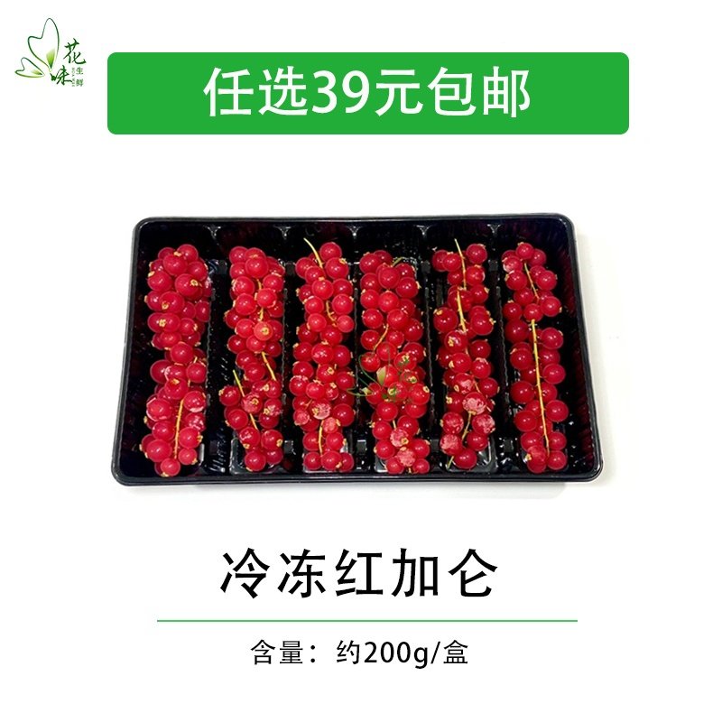 水果红加仑 安德鲁速冻带枝200g酒店西餐冷菜摆盘烘焙装饰点缀