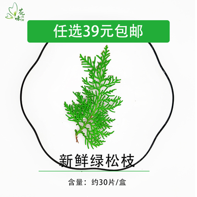 松树叶新鲜 绿松 松枝 30片/盒日料料理西餐餐饮摆盘装饰