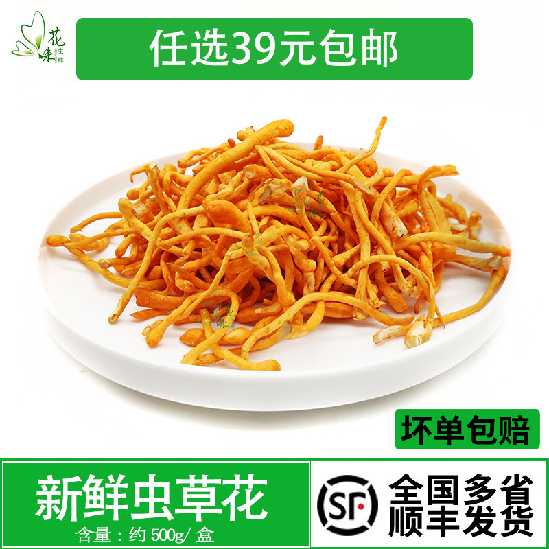 虫草花 干货孢子头精选新鲜北虫草 金虫草煲汤材料食材500g
