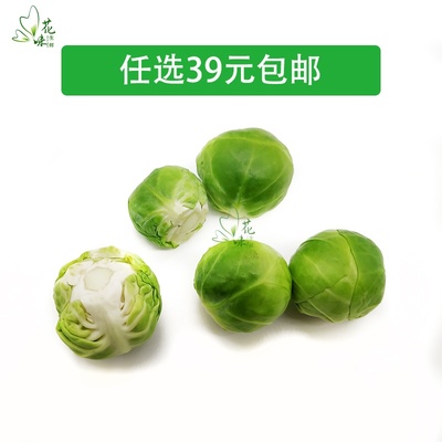 新鲜蔬菜 抱子甘蓝 迷你小包菜 小卷心菜芽甘蓝 沙拉菜 500g