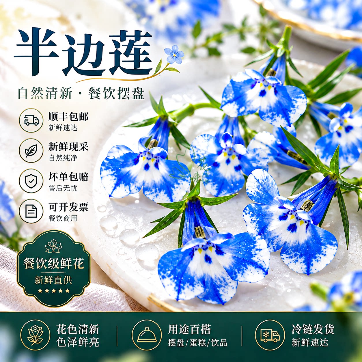 40朵西餐冷菜盘饰点缀鲜花摆盘饰