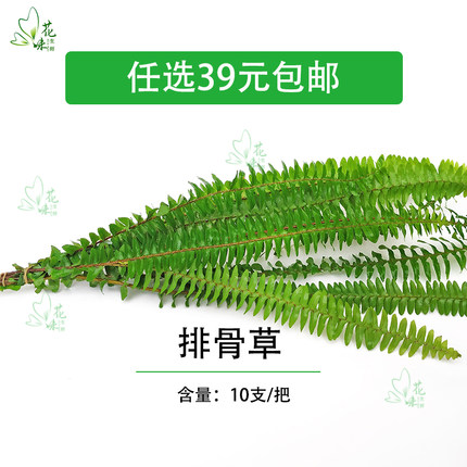 排骨草新鲜采摘食用花酒店家居鲜切花酒店西餐摆菜盘餐桌装饰