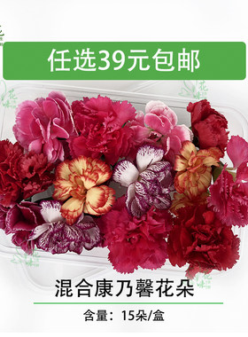 新鲜 康乃馨花朵 鲜花 多色康乃馨食用花酒店西餐摆盘蛋糕装饰