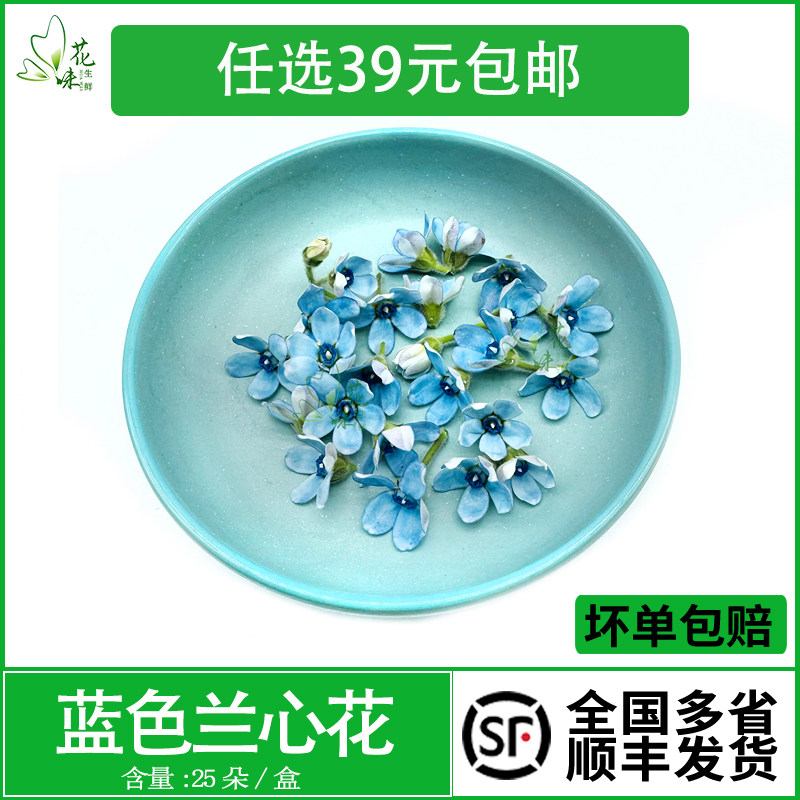 新鲜蓝色兰心花鲜花草