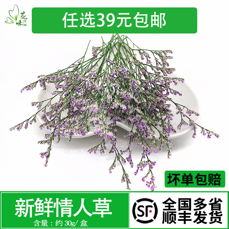 【花味鲜】情人草 新鲜鲜花 盘饰花 盒装 西餐酒店装饰摆盘点缀