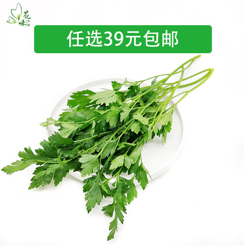 芹法国香菜巴西里香料西餐食材