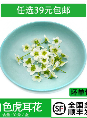 新鲜白色虎耳花草 酒店西餐摆盘日料蛋糕烘焙酒水装饰点缀鲜花草