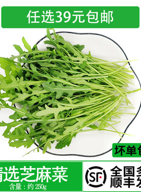 沙拉菜芝麻生菜西餐酒店