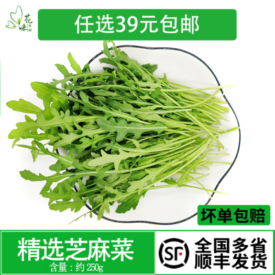 沙拉菜芝麻生菜西餐酒店