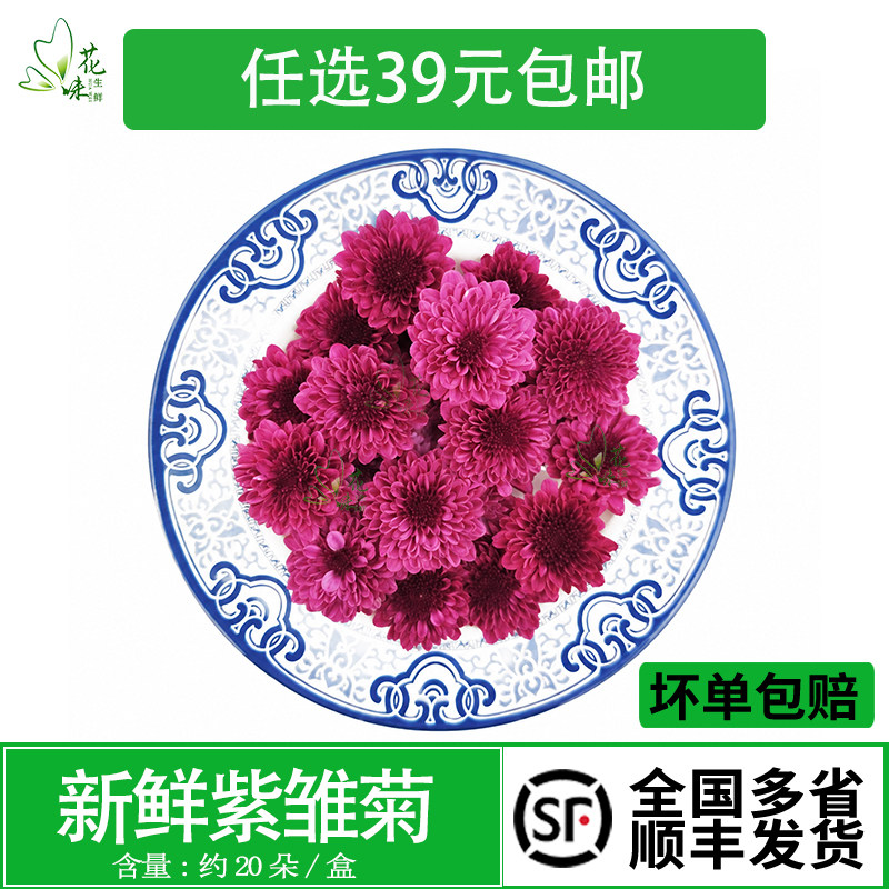 新鲜紫雏菊 纽扣菊小菊花 紫彩菊 小雏菊 西餐酒店餐饮蛋糕装饰