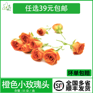 新鲜橙色小玫瑰花朵可食用多头玫瑰15朵西餐酒店摆盘装饰烘焙点缀