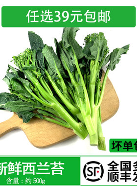 西兰苔绿色健康时令蔬菜