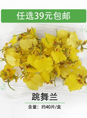 跳舞兰新鲜采摘 文心兰花草 金蝶兰可食用花酒店西餐摆盘装饰点缀