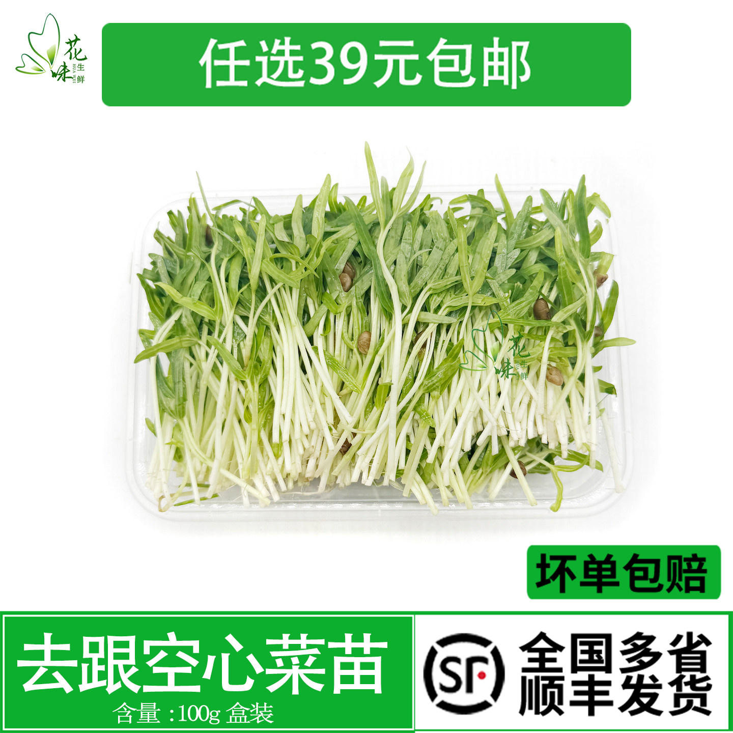 可食用芽苗菜沙拉西餐酒店装饰