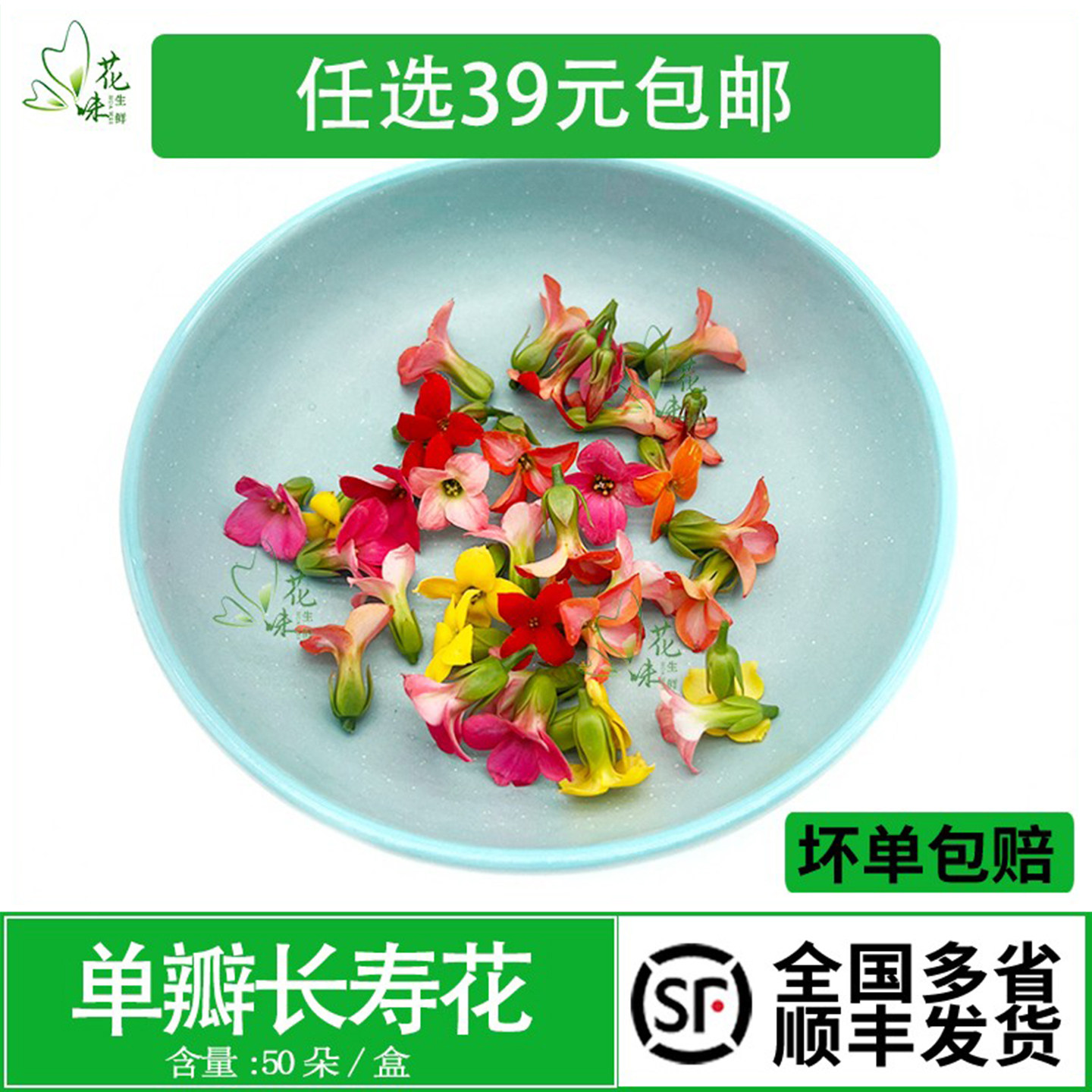 新鲜单瓣长寿花 四星花 微型小花酒店西餐摆盘烘焙装饰点缀鲜花草