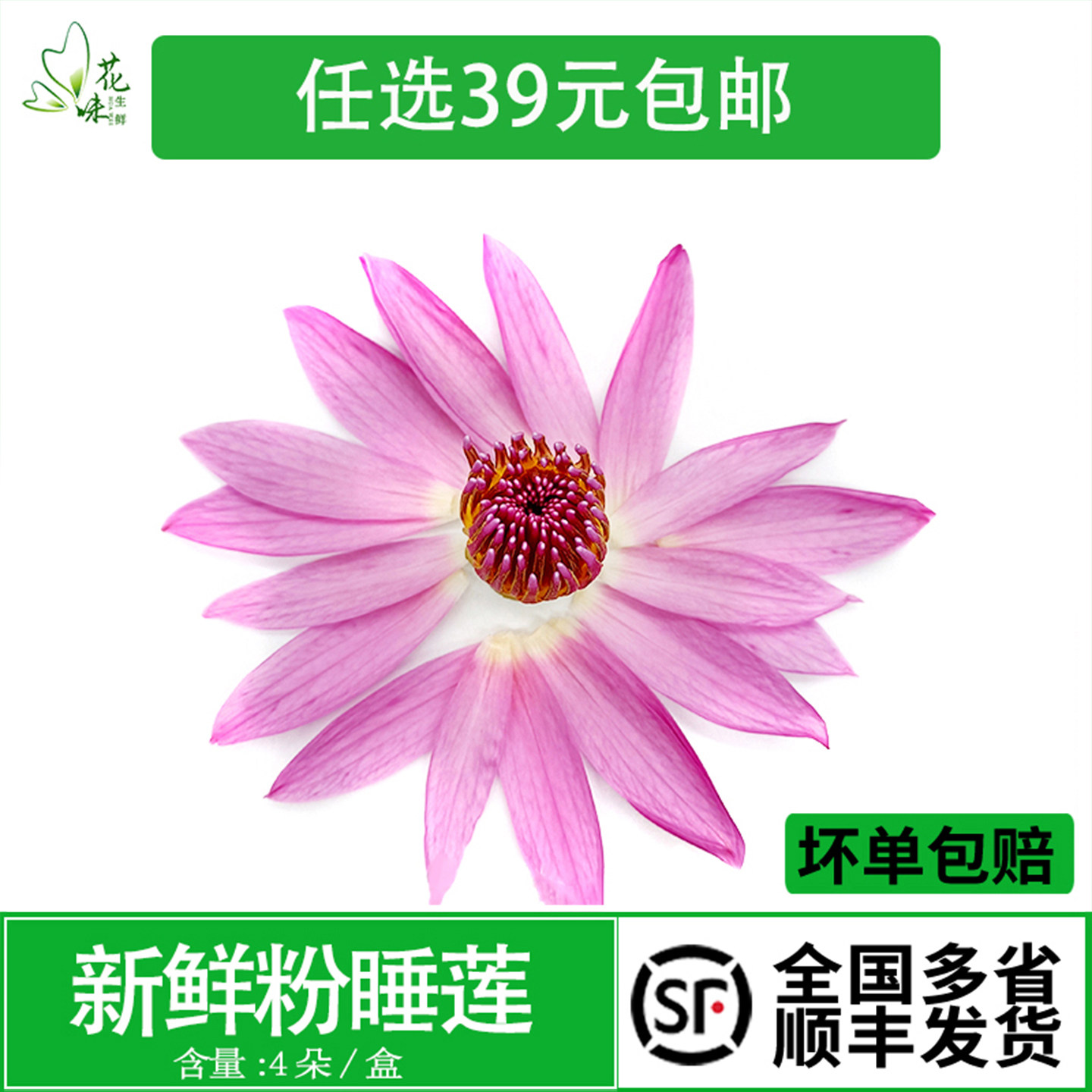 粉睡莲花瓣 新鲜莲花 可食用 荷花 4朵 酒店西餐花草摆盘装饰点缀