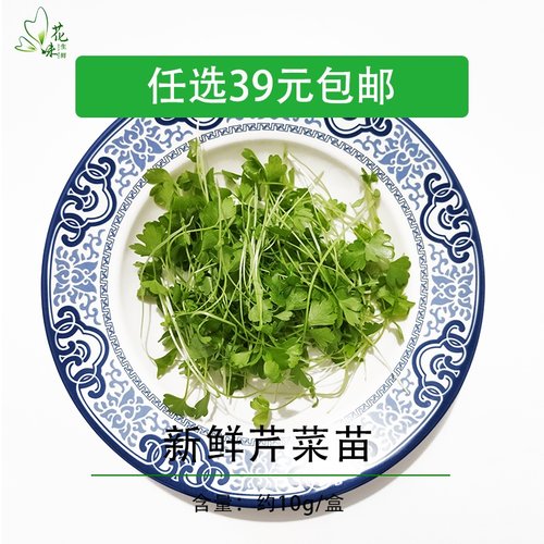 新鲜芹菜苗 香芹苗 可食用芽苗菜三叶香 蔬菜 酒店西餐摆盘装饰