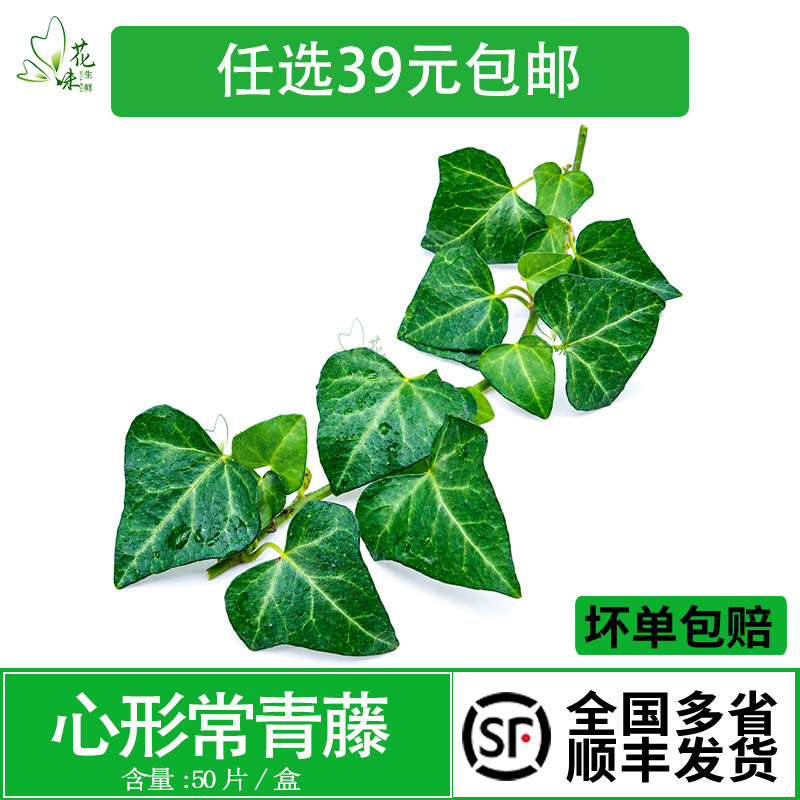 西餐装饰西餐摆盘装饰花草