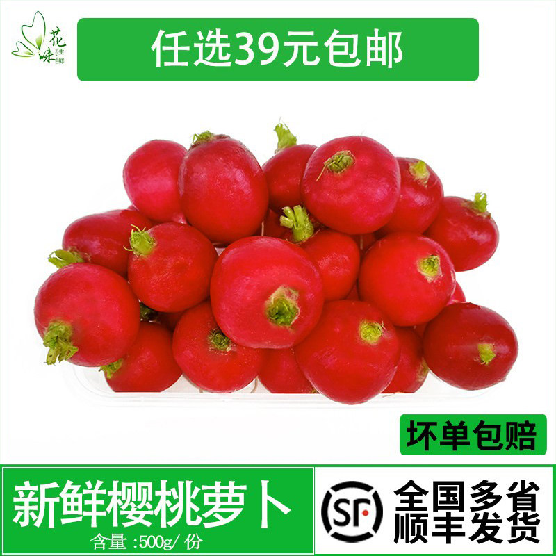 新鲜樱桃萝卜红皮迷你小水萝卜红萝卜小红圆萝卜脆甜西餐装饰点缀