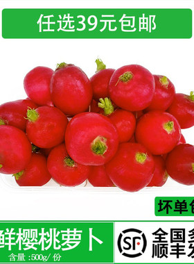 新鲜樱桃萝卜红皮迷你脆甜