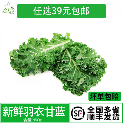 榨汁沙拉西餐健身食材蔬菜