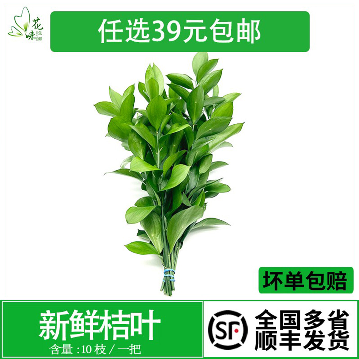 新鲜桔叶 10支酒店西餐摆盘装饰插花花艺家庭办公室水养 顺丰发货