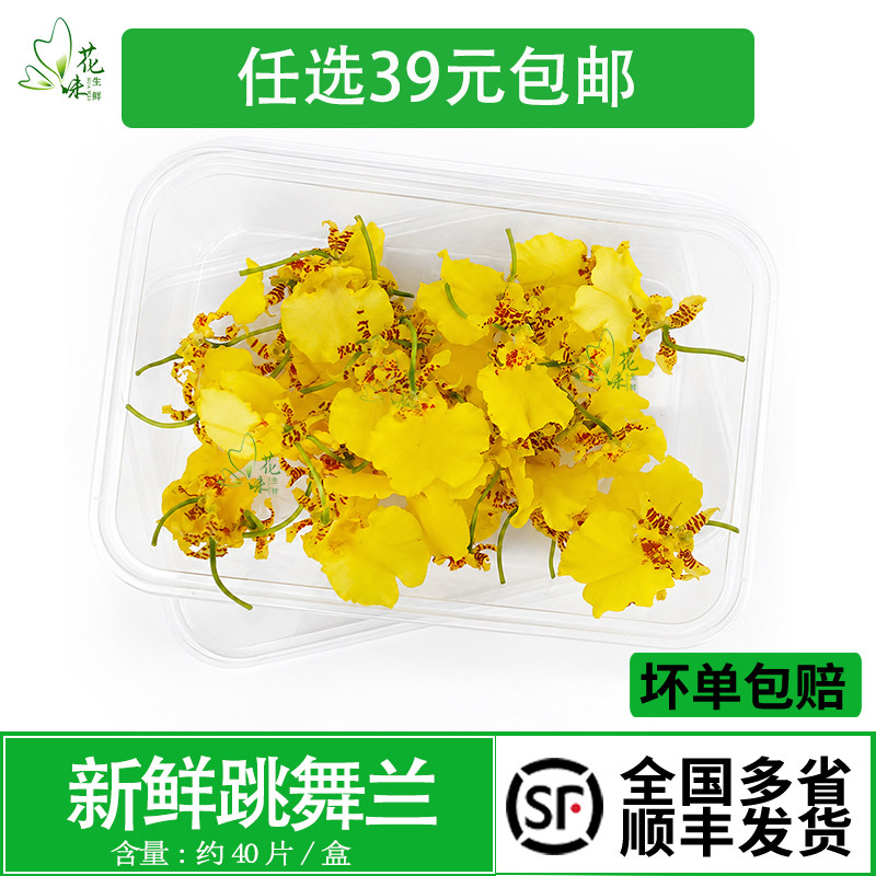 跳舞兰新鲜采摘 文心兰花草 金蝶兰可食用花酒店西餐摆盘装饰点缀