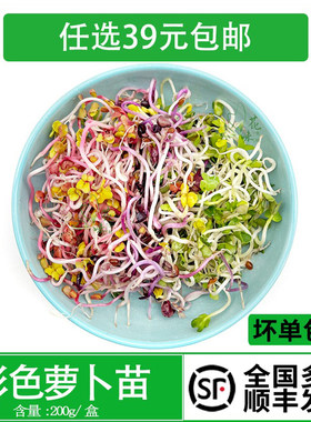 可食用芽苗菜西餐酒店冷菜