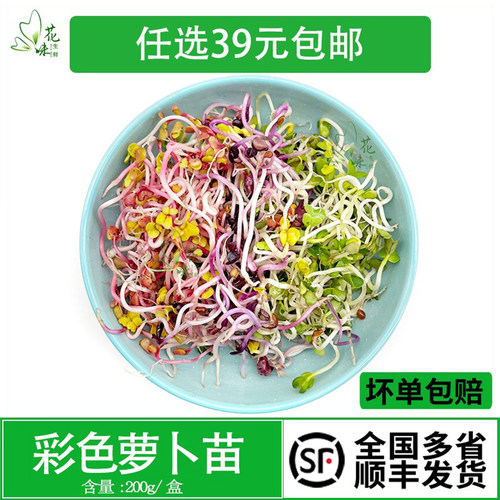 可食用芽苗菜西餐酒店冷菜