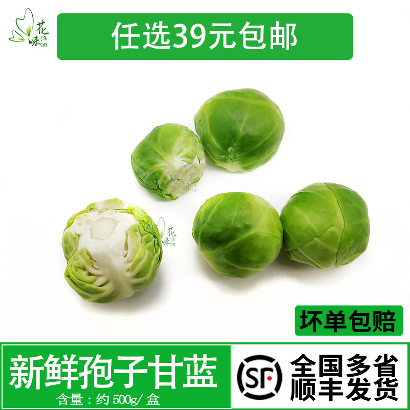 新鲜蔬菜 抱子甘蓝 迷你小包菜 小卷心菜芽甘蓝 沙拉菜 500g