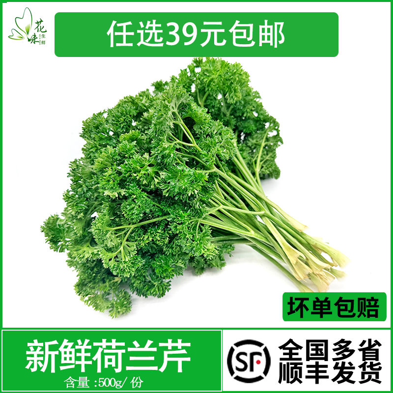 新鲜荷兰芹反西蕃茜法酒店饭店