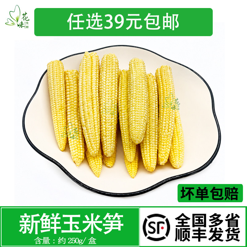 新鲜玉米笋 250g 小号番麦笋玉米芯迷你玉米笋水果玉米蔬菜小玉米