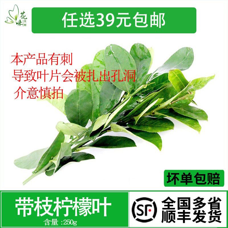 新鲜柠檬叶 带枝青柠叶 叶片有刺250g冬阴功香料火锅泰式料理调料