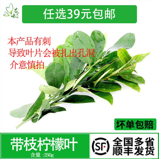 新鲜柠檬叶 带枝青柠叶 叶片有刺250g冬阴功香料火锅泰式料理调料
