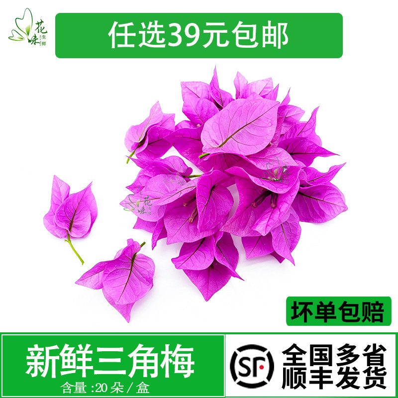 花日料刺身西餐摆盘花草新鲜花卉
